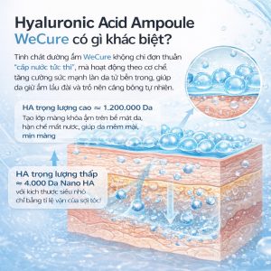 Hình ảnh mô phỏng các phân tử Nano HA cực nhỏ thấm sâu vào tế bào da, giúp da căng mọng từ bên trong.